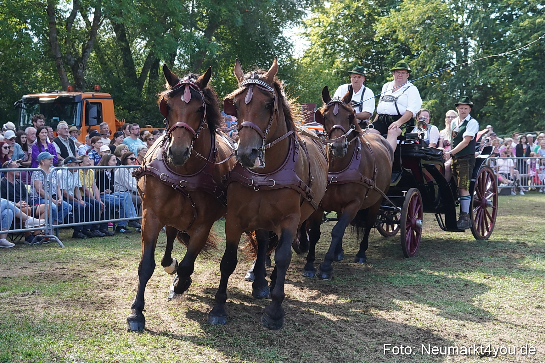 Pferde und Fohlenschau 2022 0218 